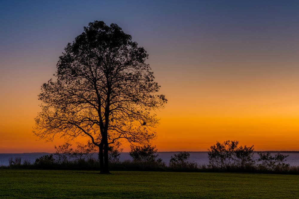 Elk Neck State Park on The Elk River in Elkton Maryland.