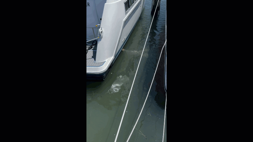 Cleaning out the hoses on a boat ac unit